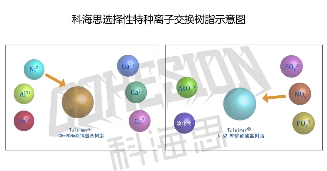 在實際水處理運行中，離子交換樹脂選擇性的影響因素有哪些